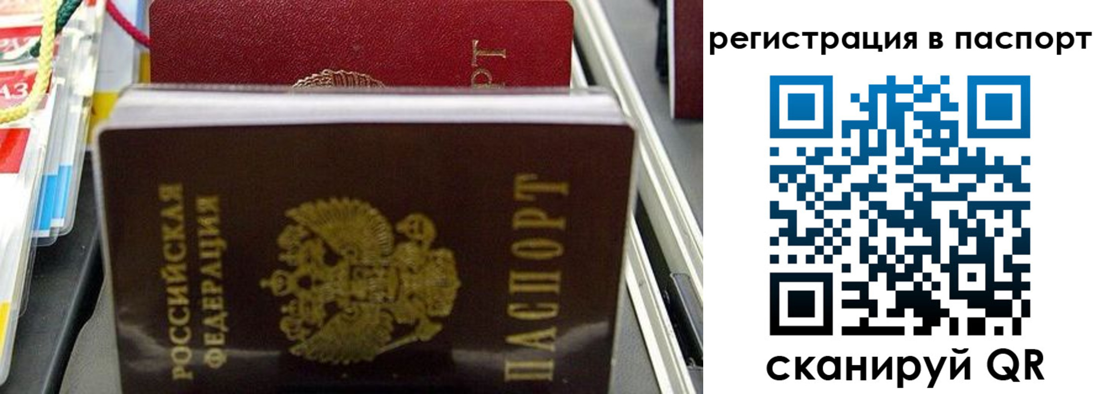 прописка для школы в Онеге